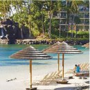 지상낙원 이미지