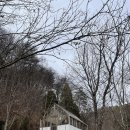 숲카페공간대여 이미지