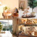 금송빌딩 | 서울 연희동 카페 화과자 추천 맛집 카페 카시코이