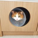 태능동물병원 이미지