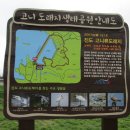 진도 고니류 도래지 이미지