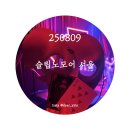 첼시커뮤니케이션 | 서울 _ 공연일정 및 관람 꿀팁 | 8/9(토) 관람 후기(스포ㅇ) | 내 최애 공연 슬립노모어가 한국에서...