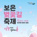 충청북도 보은군 보은읍 이평리 210 | 충청도 보은 벚꽃길 축제 일정과 교통편 및 맛집 알아보기