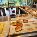 레드브릿지 | 파주 마장호수 뷰 맛집, 레드브릿지 카페 방문 후기