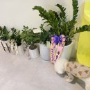 개들만찬 이미지