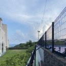 제주 서귀포시 바모스테니스클럽(VAMOS TENNIS CLUB) 레슨 후기 🎾