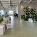 반하나카페 이미지