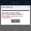 메리망고 이미지