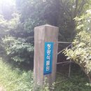 청광식물원 네이버블로그