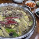 버섯마을 이미지