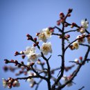 충무공파출소 이미지