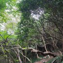 나로도연안여객선터미널 이미지