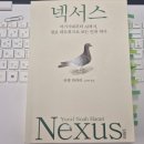 넥서스