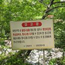 백운계곡삼부원 이미지