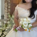 소이가든 | [W8] 아이폰 스냅 "소이스냅" 후기🩷(로프트가든 344, 밝은 홀 베뉴)