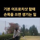 @이승우숏게임스쿨 구독 골프 숏게임 어프로치샷 입스도 이렇게 고쳤습니다 어프로치샷 할때 손목을 많이 쓰면 생기는 일 골프숏 이미지