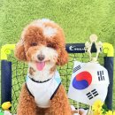 놀러오개 - 안양시 만안구 경수대로 1234 | 놀러오개