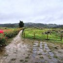 연천시장 이미지