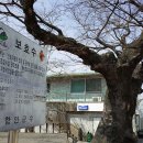 안도마을회관 이미지