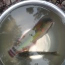 초전마을야영장 이미지