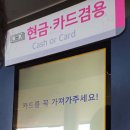 코끼리열차 네이버블로그