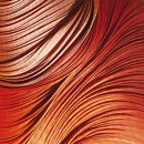 우리 카 타이어 이미지