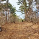 이윤경선생묘 및 신도비 이미지