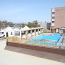 강화캐라반캠핑장 | ⛺서울 근교 가성비 가족 캠핑장 추천! 강화카라반캠핑장 후기 🌊