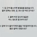 다방면 이미지