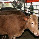 정화축사 이미지