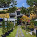 여림재펜션 | 전주펜션 추천 여림재 감성 가득 편백숲 힐링 숙소 후기