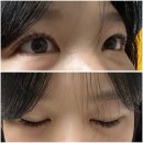 씨유 울산중산점 | 울산 북구 중산동 속눈썹 쩡이래쉬, 속눈썹연장 추천 후기