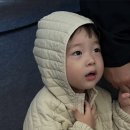 지구워킹 이미지