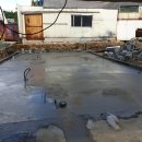 노스게러지 이미지