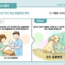 고동물병원 이미지