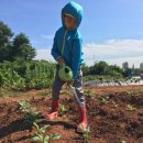 지민농장 이미지