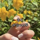 하이라이트아트디자인 | 송도신도시네일 추천 네일바이뚜 4월 이달의아트 후기