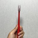 레인보우 | 쿠팡 칫솔공장 레인보우세트 내돈내산 추천 후기