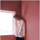 짙은