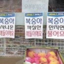 셋다리치킨 | 하고 싶은 건 많고 체력은 안 따라줄 때 생기는 일 23가지