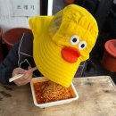 아이와 가족 여행 제주도 배낚시 체험낚시 광명호 후기 하효항