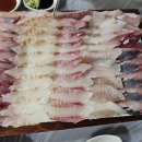 부산도시어부 | 부산 대신동 맛집 가성비갑 횟집 흑산도 도시어부