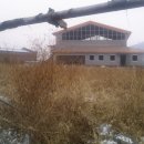 무성체육관 이미지