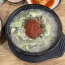 진천토종순대 | 인천 송림동 순대국 맛집 진천토종순대 내돈내산 솔직후기