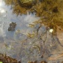 금산초등학교 병설유치원 이미지