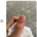 내포동물의료센터 이미지