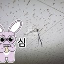 천리전업사 네이버블로그