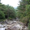 사동유원지 이미지