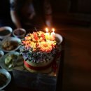 꽃드리움 이미지