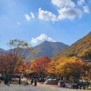 이안힐링랜드 이미지